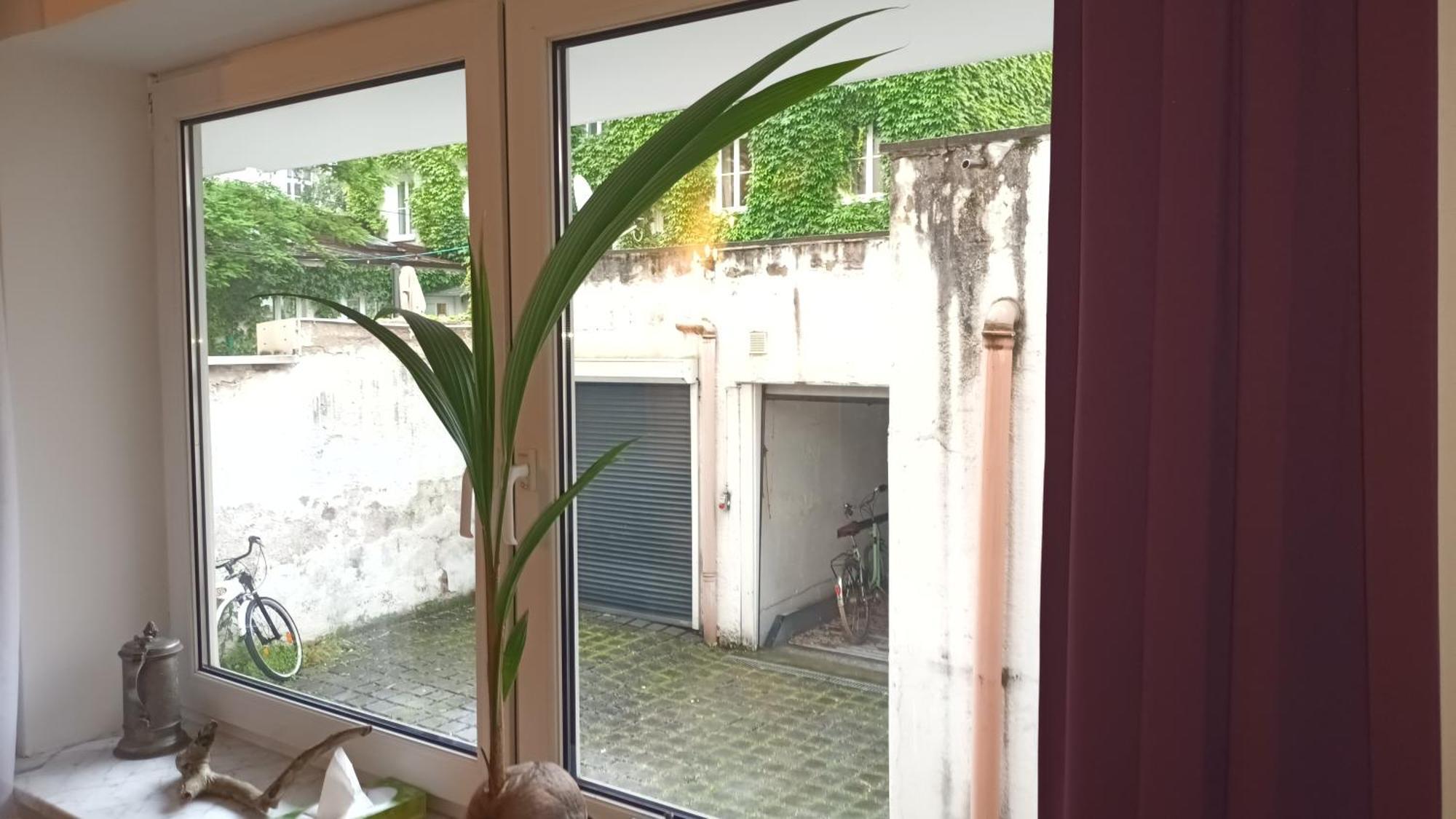 Stilvolles Appartement Im Zentralen Schwabing - Innenstadt München Eksteriør bilde